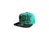 Half Skull snapback