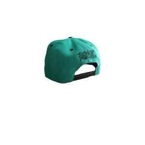 Half Skull snapback