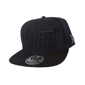 Hector Snapback hat